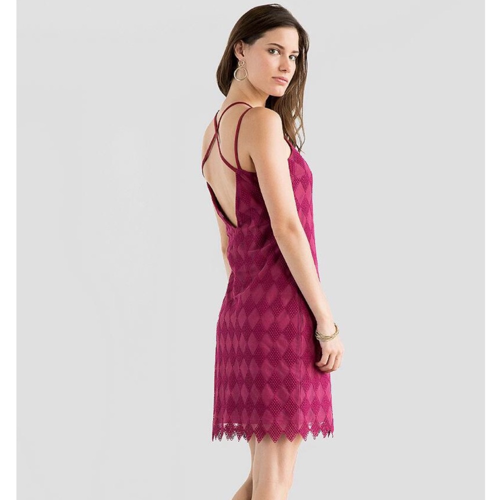 Francesca’s Elmina wine dress